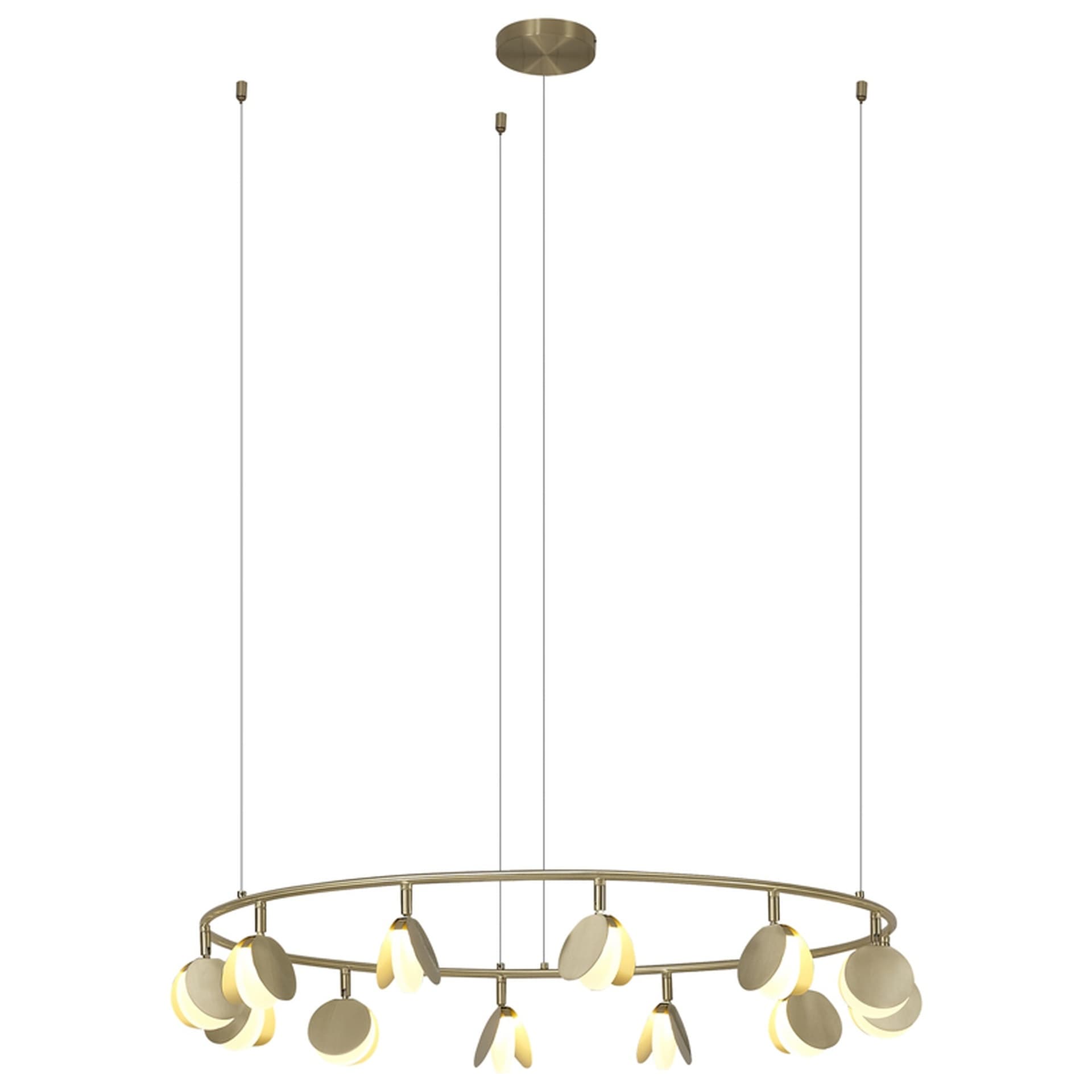 ***OFER/DES*** COQUILLE * LAMPE LED 12L+8L+6L