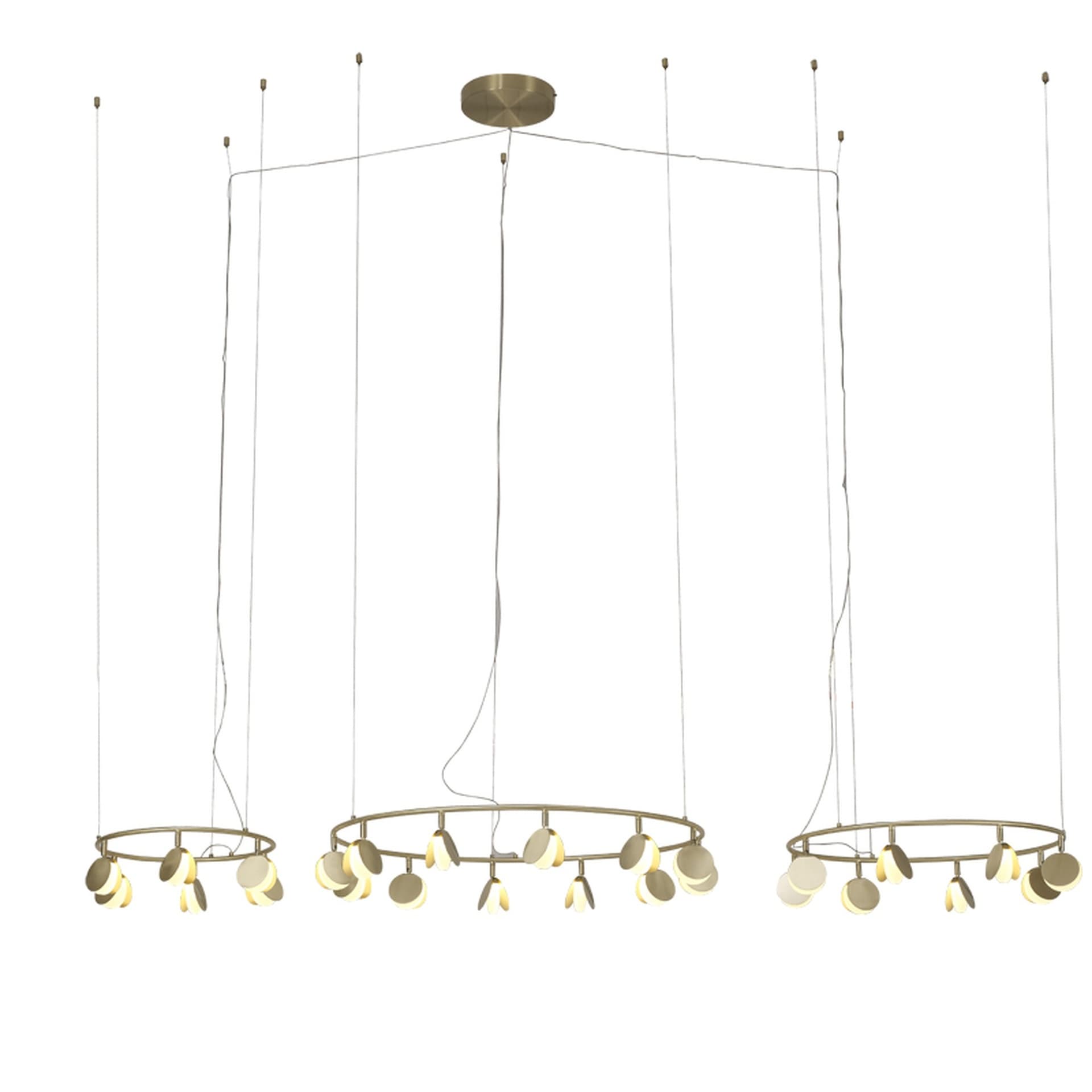 ***OFER/DES*** COQUILLE * LAMPE LED 12L+8L+6L