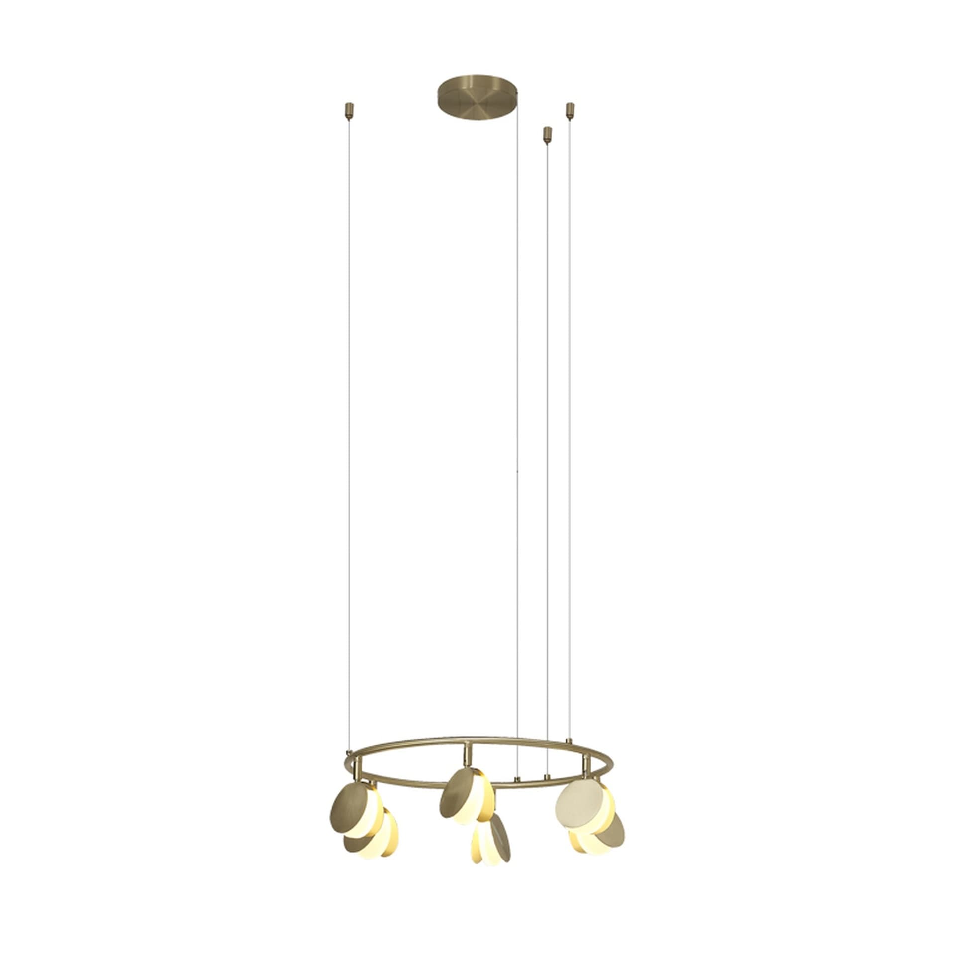 ***OFER/DES*** COQUILLE * LAMPA LED 6L
